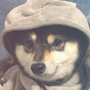 Profile Picture of Yu Ting Tseng (@yutingtseng6837) on Youtube