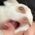 Profile Picture of Taylor Conwayyy (@taylor.conway.spam) on Instagram