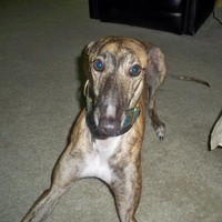 Profile Picture of Chris Wagnon (@chris-wagnon-2) on Quora