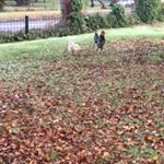 Devyn Makin - Instagram Profile Picture of Devyn Makin (@devynmakin) on Instagram