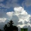 Profile Picture of Rita Banerjee (@@ritabaerjee) on Tiktok