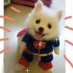 Profile Picture of Mario Ad (@parhamravivparha) on Instagram