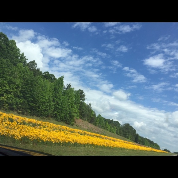 Profile Picture of Souzan Elchami (@souz80) on Poshmark