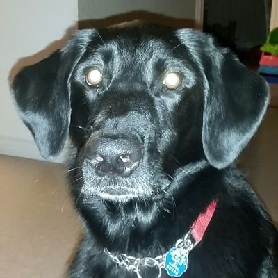 Profile Picture of Peter Hickie (@Ice_mocha420) on Twitter