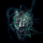 Profile Picture of Bubby685 (@bubby685) on Flickr