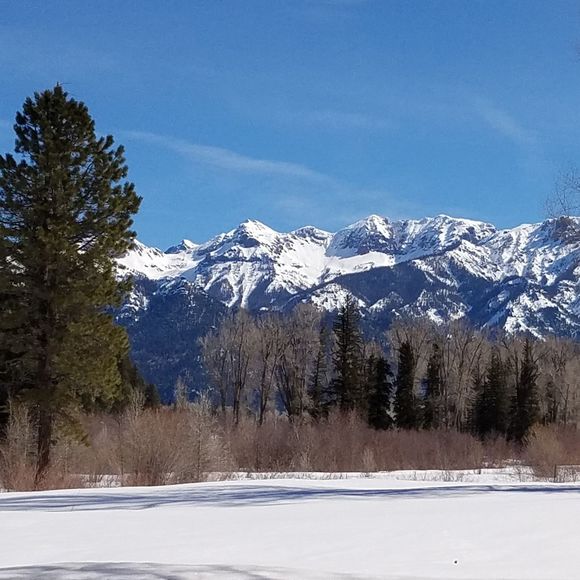 Profile Picture of Leonard Hoffschneider (@not2oldafart) on Poshmark