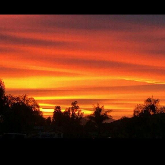 Profile Picture of Danelle Dickstein (@danni8508) on Poshmark