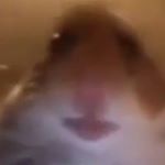 Profile Picture of Ian Keckler (@iankeckler) on Instagram