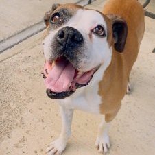 Profile Picture of Rob #FBR  🌊 🌊 (@fergeson_robert) on Twitter