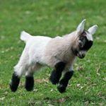 Greg Hubbard - Instagram Profile Picture of Greg Hubbard (@greghubbard8) on Instagram