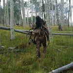 Profile Picture of David Stonehouse (@david.stonehouse) on Instagram