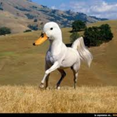 Profile Picture of Benjamin Zambrano (@10_najieb) on Twitter