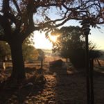 Profile Picture of Jacqui Coates (@wanda_diaries) on Instagram