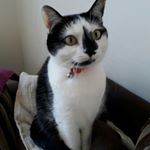 Profile Picture of Val Murray (@val.murray64) on Instagram