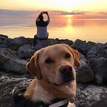 Profile Picture of Nigel (@nigel.kingma) on Instagram