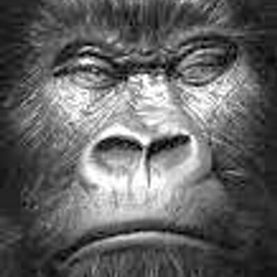 Profile Picture of Ernie Milner (@hottatter) on Twitter