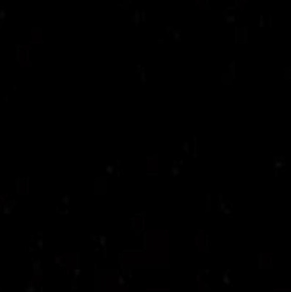 Profile Picture of Jenna Shearer (@jennarshearer) on Poshmark