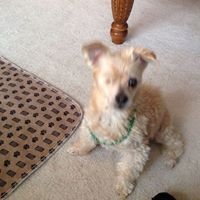 Profile Picture of Dee Joyce (@dee-joyce-1) on Quora