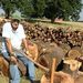 Profile Picture of Larry Ketcham (@larryketcham) on Pinterest