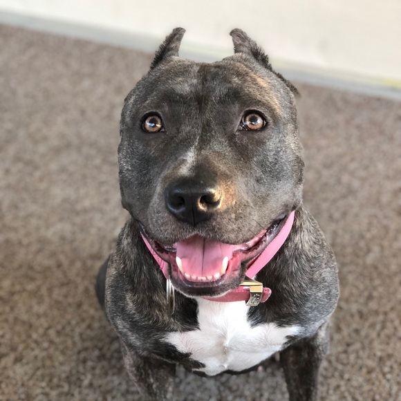 Profile Picture of Juan Pasillas (@juanpasi) on Poshmark