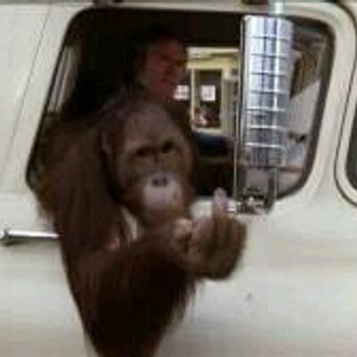 Profile Picture of Matt Maulding (@maulding392) on Twitter