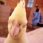 Profile Picture of Monika Papież (@monika.fudala.1) on Instagram