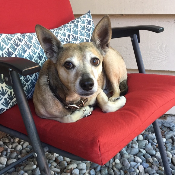 Profile Picture of Gary Graham (@garygraham1967) on Poshmark