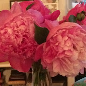 Profile Picture of Keate Meyer (@keatemeyer5466) on Youtube