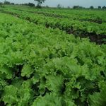 Profile Picture of jonathan addo (@addo5018) on Instagram