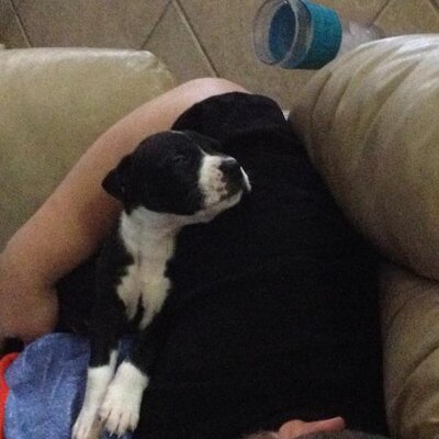 Profile Picture of Tracie Grape Payne (@TraciePayne36) on Twitter