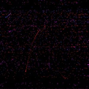 Profile Picture of Nathaniel Peterson (@294912945) on Myspace