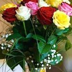Profile Picture of tahraoui Mohamed (@tahraoui52) on Instagram