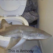 Profile Picture of Alexander Liu (@alexanderliu950) on Youtube