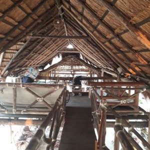 Profile Picture of Felix Silva Arana (@FelixSilvaAran1) on Twitter