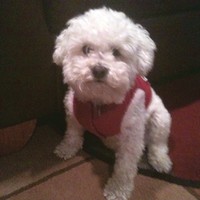 Profile Picture of Sean Thiele (@sean-thiele-3) on Quora