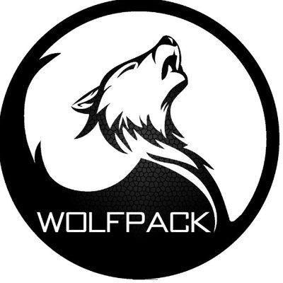 Profile Picture of Dominic Moore (@ceowolfpack) on Twitter