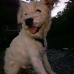 Profile Picture of Camelia Ramos (@camelia.ramos.9693) on Instagram