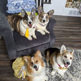 Profile Picture of Hope S Perkins (@koahope) on Pinterest