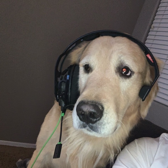 Profile Picture of Kaleb Neaville (@kalebneaville1) on Poshmark