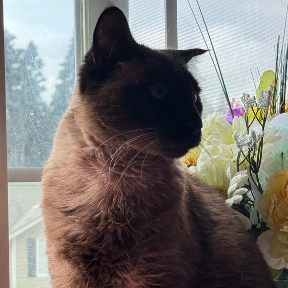 Profile Picture of Audrey Ruth (@audreyruth762) on Poshmark