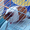 Profile Picture of Mattie en Jackson (@Mattie en Jackson) on Flickr