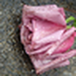 Profile Picture of Viraj Shah (@viiraj shah) on Flickr