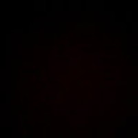 Sara Michaelis - Quora Profile Picture of Sara Michaelis (@sara-michaelis-3) on Quora