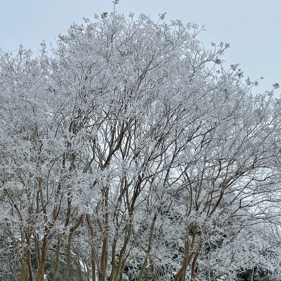 Profile Picture of Florence Meloling (@flo3246) on Poshmark