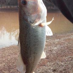 Profile Picture of Hunter Tapp (@hunter00tapp007) on Twitter