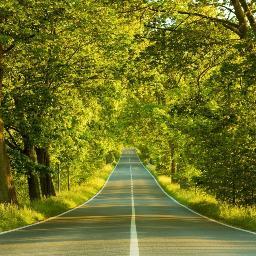 Profile Picture of David M. Hester (@KaiserClinton) on Twitter