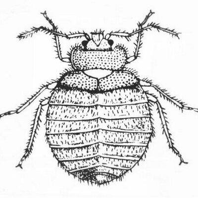 Profile Picture of Jonathan Clement (@@Jonacle) on Twitter