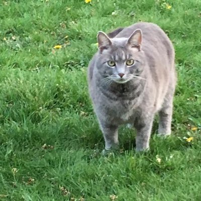 Profile Picture of James E Jarrell (@JamesEJarrell2) on Twitter