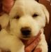 Profile Picture of Lynn Stepp (@Lynn-Stepp) on Facebook