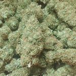 Profile Picture of Michael Pepson (@pepson_weed_empire) on Instagram